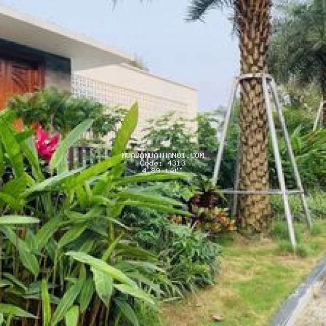 238,3m2 đất nghỉ dưỡng,sát xanh villassview núi hồ