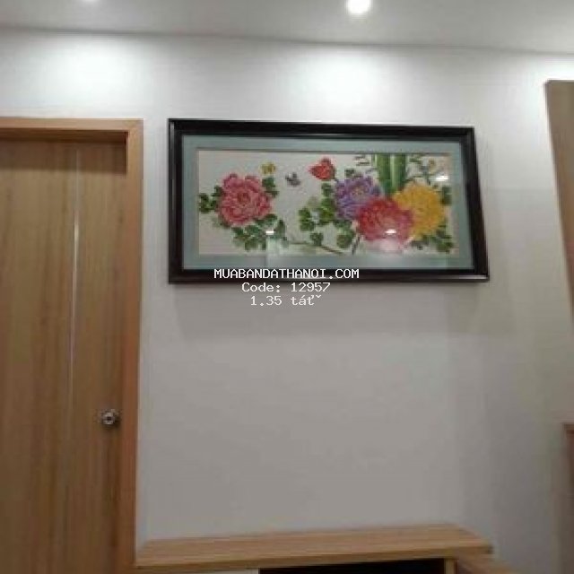 Căn 2 ngủ dt 70m2 full nội thất cao cấp thanh hà