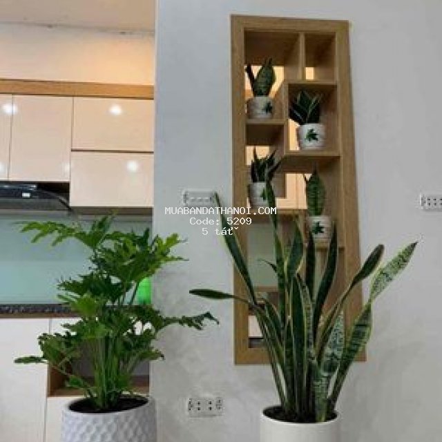 Cực phẩm tt hà nội - nghi tàm nhỉnh 5 tỷ x 50m2