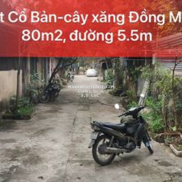 đất tổ1 cổ bản ngay cây xăng đồngmai 80m2/đường~6m