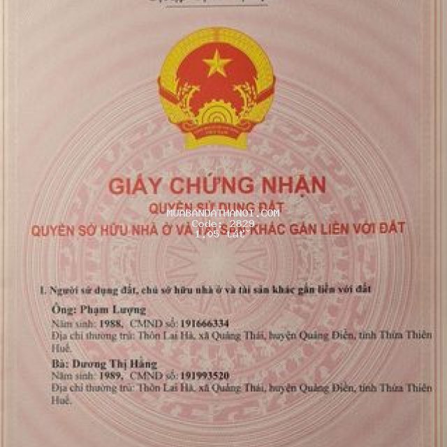 đồi vua ,sơn đông ,sơn tây ,hà nội