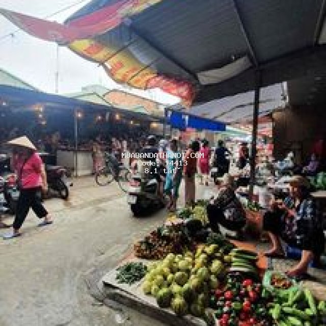 Giá nào cũng chốt yên lãng lô góc oto kinh doanh .