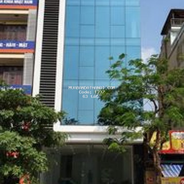 Quận hoàng mai 240m²