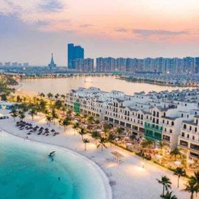 Quỹ căn độc quyền của vinhomes ocean park