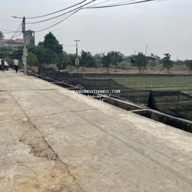 241m2 đường quy hoạch trước đất 20m tổ 9 quang minh