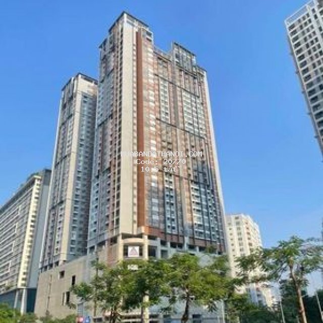 5 căn ngoại giao brg diamond residence lê văn lương