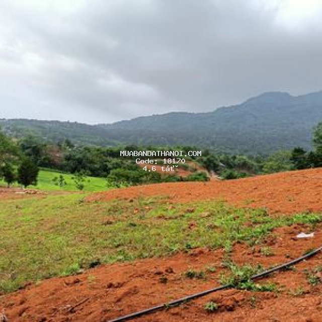 Bán đất minh quang, dt1760m, 500m đất ở, mt 70m.