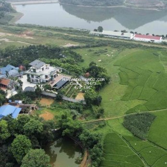 Bán nhanh lô góc, view cánh đồng, cách hồ 300m, giá rẻ tại thạch thất