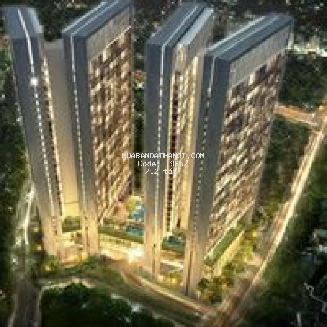 Chung cư 182m2 4 ngủ giá 7.2 tỷ